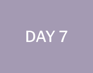 day 7