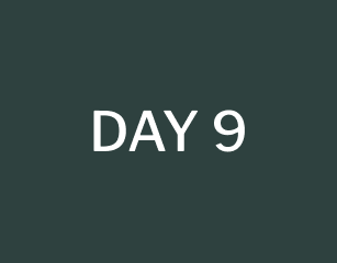 day 9